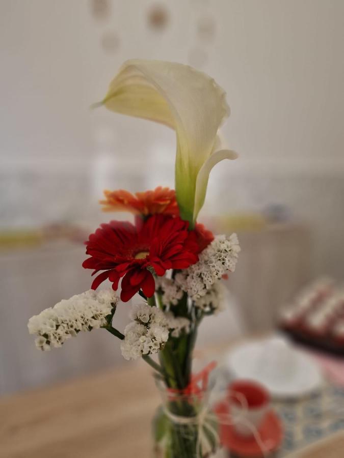 B&B Tre Sorelle Surbo Ngoại thất bức ảnh